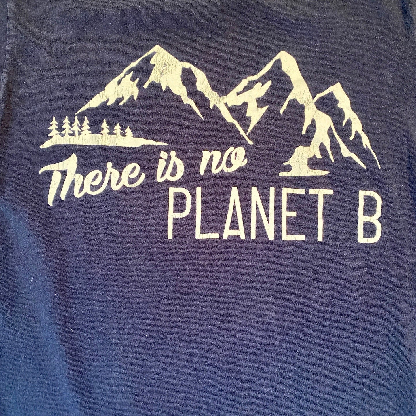Y2K 'There Is No Planet B' Vintage Tee