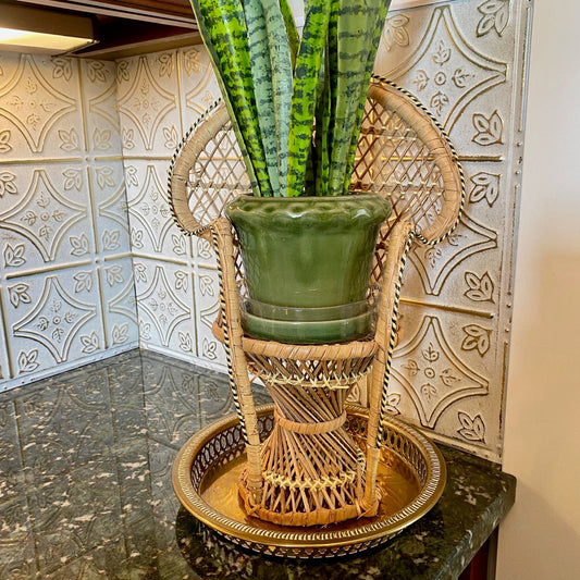 Mini Peacok Chair/Pot Holder